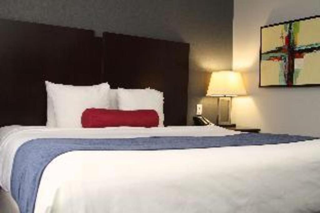 Best Western Plus Olathe Hotel מראה חיצוני תמונה
